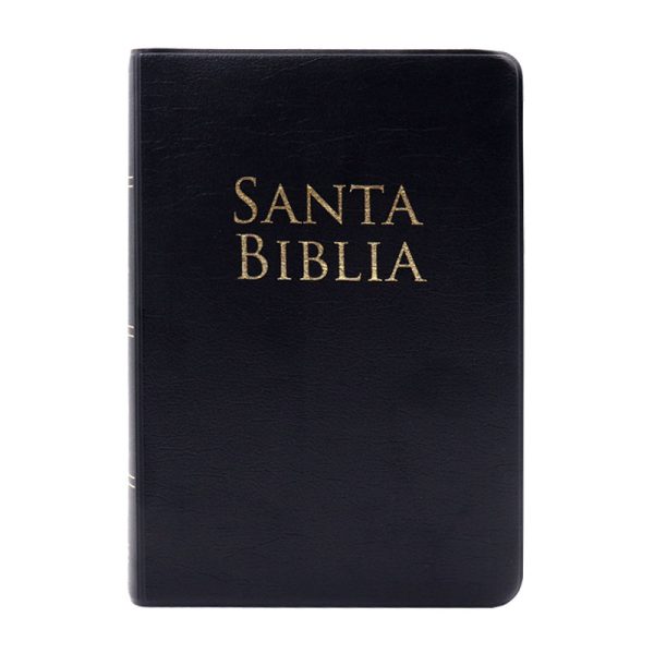 Biblia manual Holman Ariel RVR60 - Vinil -  Negro