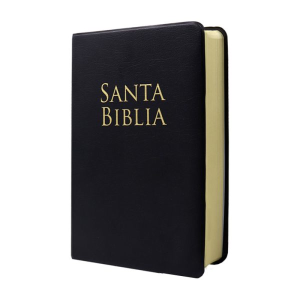 Biblia manual Holman Ariel RVR60 - Vinil -  Negro - Image 2