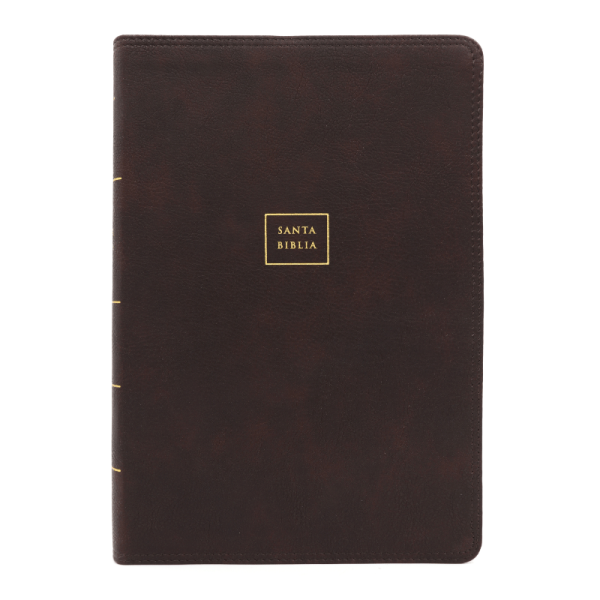 Biblia del ministro letra gigante RVR60 – Café