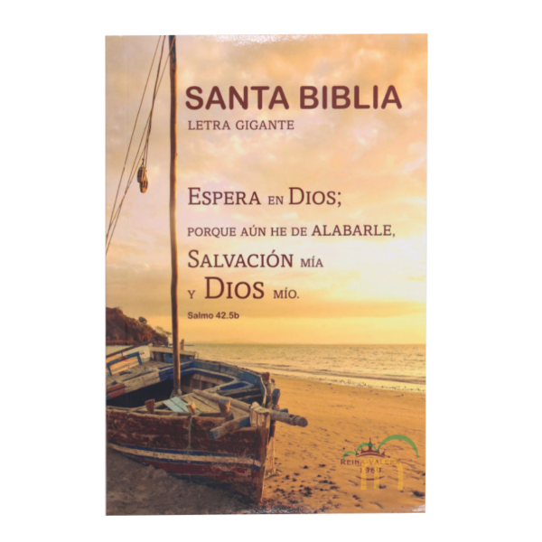 Biblia mediana letra gigante RVR60 - Rústico