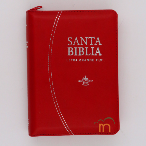 Biblia chica RVR60 - Roja